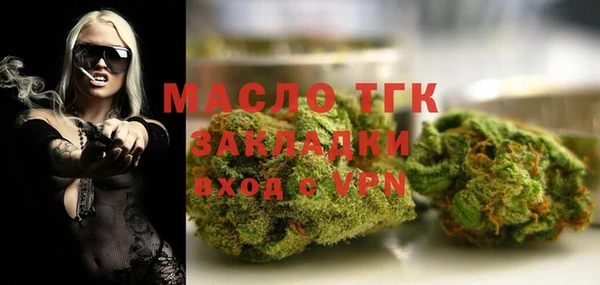 амф Новозыбков