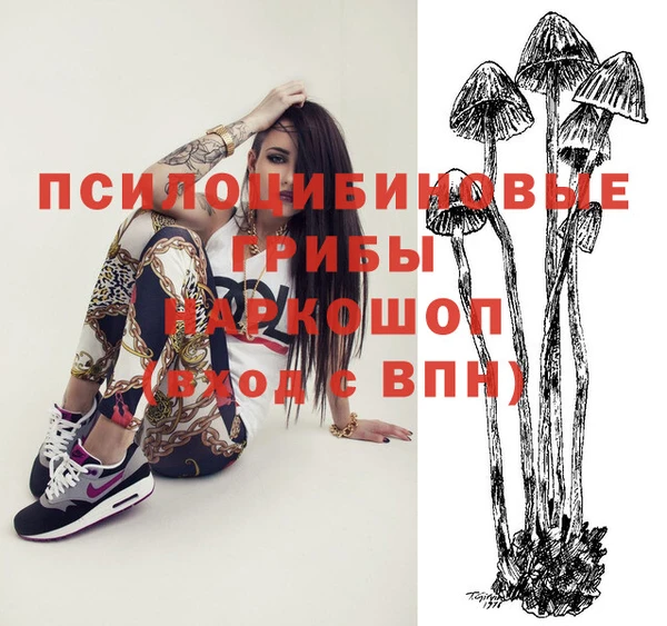 спиды Михайловск