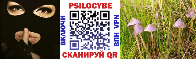 магазин продажи наркотиков  Подпорожье  blacksprut как зайти  Псилоцибиновые грибы GOLDEN TEACHER 