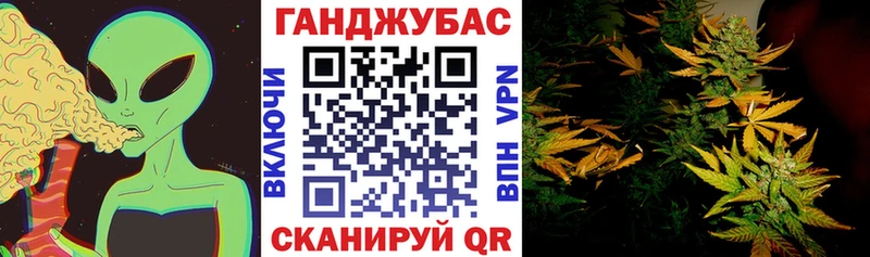 Бошки марихуана марихуана  сколько стоит  Подпорожье 